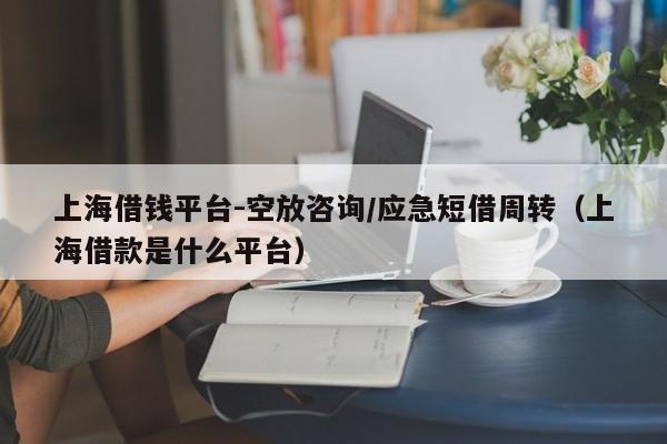 上海借钱平台-空放咨询/应急短借周转（上海借款是什么平台）